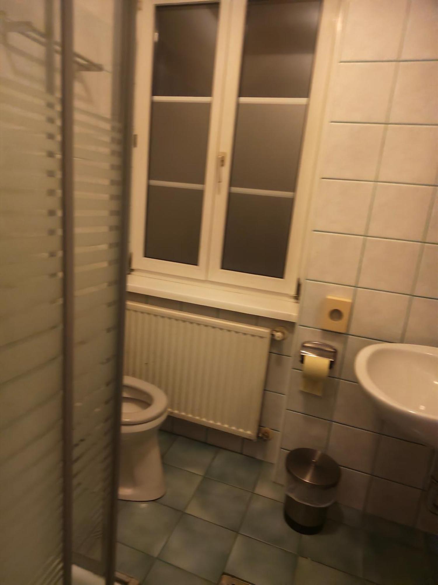 Asia Wok Gasthof Ybbs an der Donau Exteriör bild